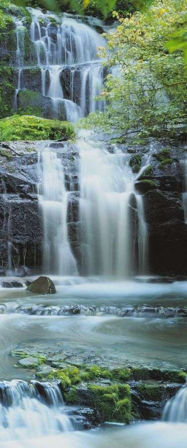 2-1256 Pura Kannui Falls - avatar